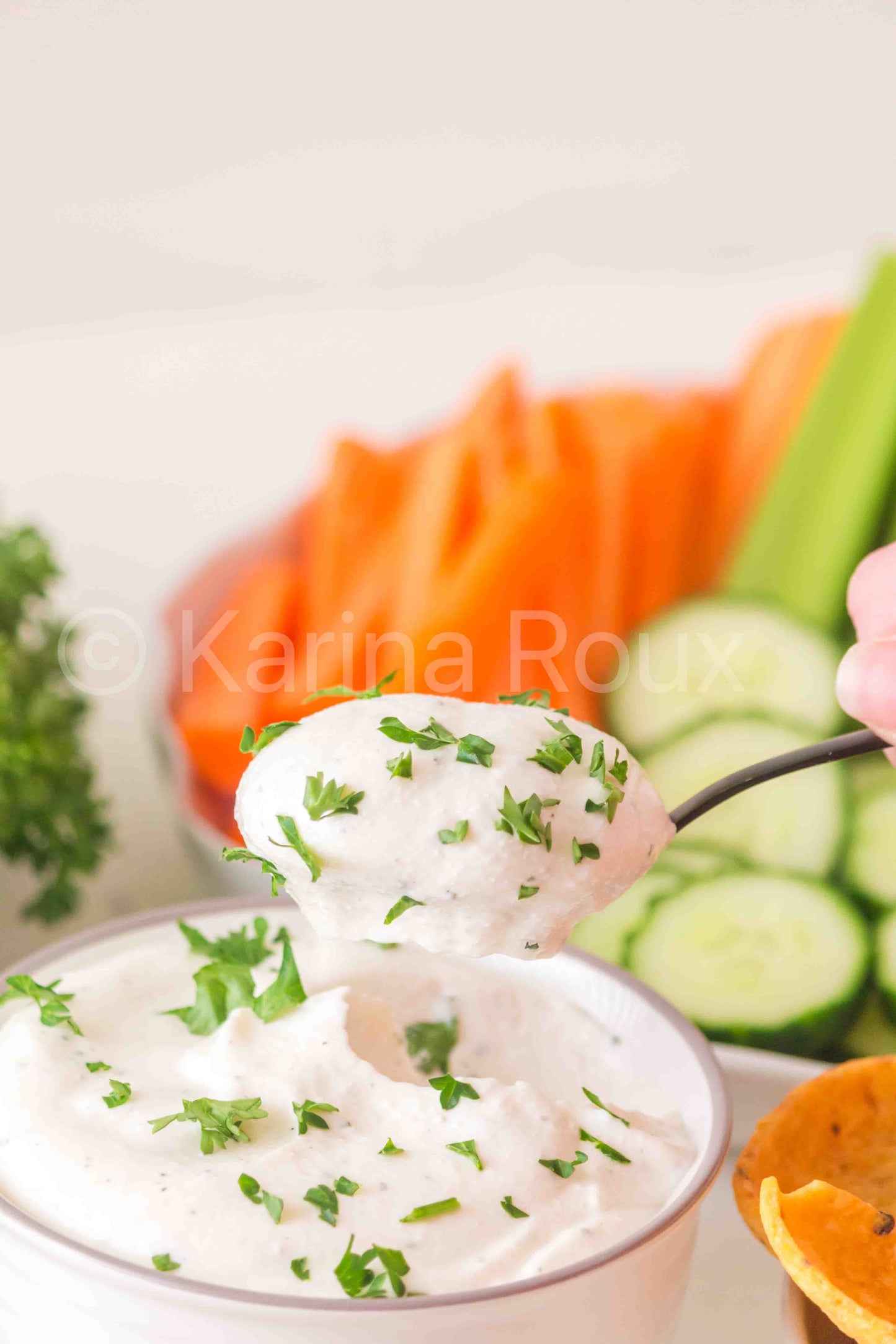 Cottage Cheese Ranch Dip (5 sets)